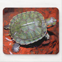 Red-eared Turtle mousepads