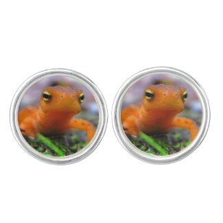 Red Eft Cuff Links