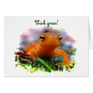 Red Eft Earth Day Card