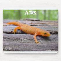 red eft, K. Dorman 2006, Red Eft, ADK Mouse Mat