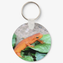 Red Eft Salamander Nature Photo Keychain Keyring