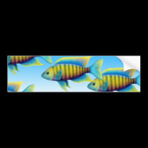 Red Empress Peacock Fish Bumper Sticker bumper stickers