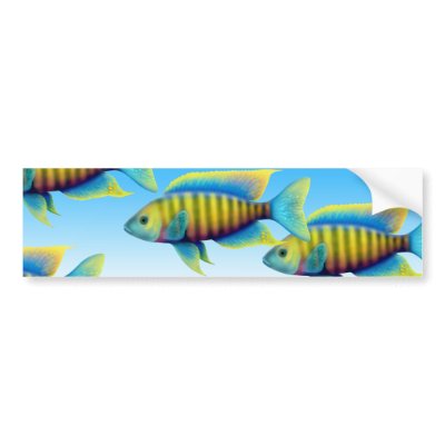 Red Empress Peacock Fish Bumper Sticker by twopurringcats