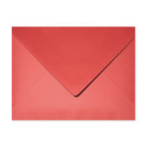 RED ENVELOPE Pre-addressed to President Obama postcards