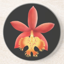 Red Epidendrum Orchid Flower Coaster