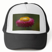 Red Everlasting Flower hats