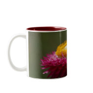 Red Everlasting Flower mug