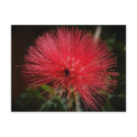 Red Explo Postcard