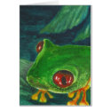 red eye green tree frog cards by yioryia red eye green tree frog cards