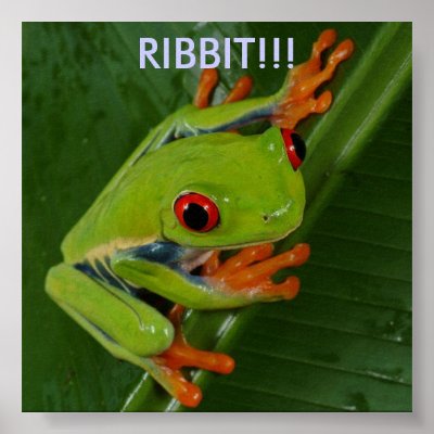 Red-Eye-Tree-Frog, RIBBIT!!! Poster by hannahkiarobertson