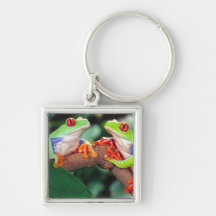 Red Eye Treefrog Pair, Agalychinis callidryas, Key Chains