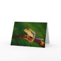 Red Eyed Tree Frog Blank Greeting Card by Stuwahacreations Red Eyed Tree Frog Blank Greeting Card