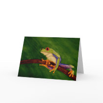 Red Eyed Tree Frog Blank Greeting Card