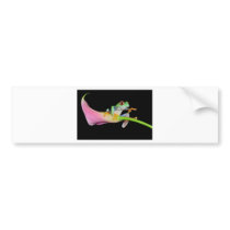 red eyed tree frog bumper stickers