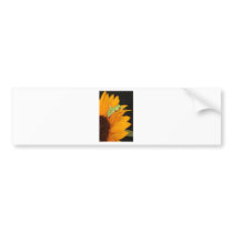 red eyed tree frog bumper sticker