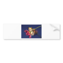 red eyed tree frog bumper sticker