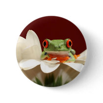red eyed tree frog pinback buttons