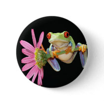 red eyed tree frog button