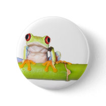 red eyed tree frog buttons