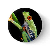 red eyed tree frog button