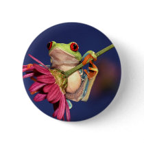 red eyed tree frog pinback button