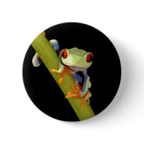 red eyed tree frog pin