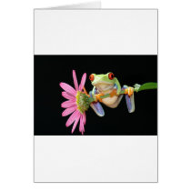 red eyed tree frog cards