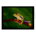 Red Eyed Tree Frog Card by Stuwahacreations Red Eyed Tree Frog Card
