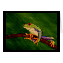 Red Eyed Tree Frog Card
