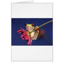red eyed tree frog greeting card