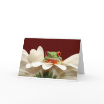red eyed tree frog greeting card