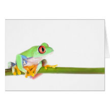 red eyed tree frog cards
