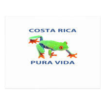 Red eyed tree frog Costa Rica Pura Vida Post Cards