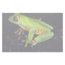 Red-eyed tree frog, Costa Rica Stationery Paper