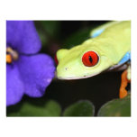 red eyed tree frog custom invites
