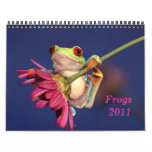 red eyed tree frog, Frogs 2011 calendar