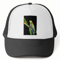 red eyed tree frog mesh hat