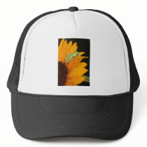 red eyed tree frog mesh hat