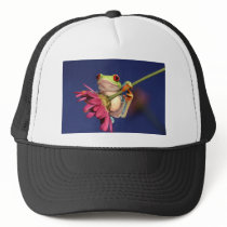 red eyed tree frog mesh hat