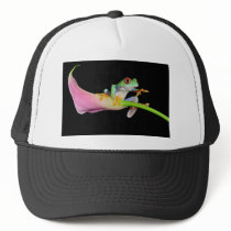 red eyed tree frog hats