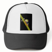 red eyed tree frog mesh hat