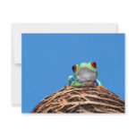 red eyed tree frog custom invites