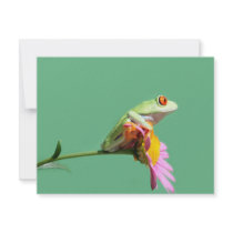 red eyed tree frog announcement