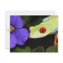 red eyed tree frog custom invites