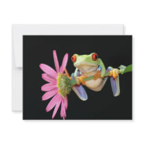 red eyed tree frog custom invite
