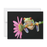 red eyed tree frog custom invite