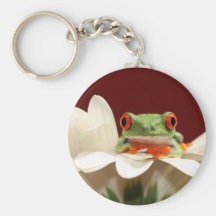 red eyed tree frog key chain