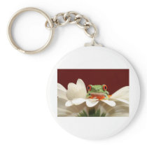 red eyed tree frog key chain
