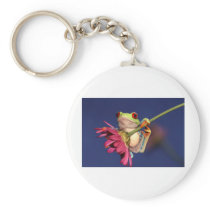 red eyed tree frog key chain