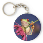 red eyed tree frog key chain